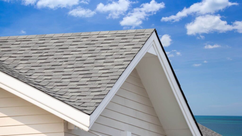 Roof-Washing-Companies-in-hendersonville